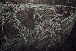 Naufragium <br>Kenny Martin