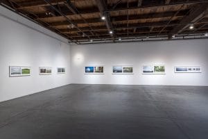 a wide shot of Tina Freeman's environmental diptychs