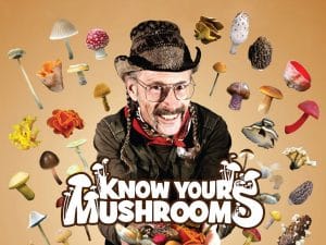 a person surrounded by a diversity of mushrooms