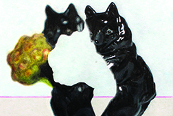 Duality: In Unplain Sight <br> Heather Heckel