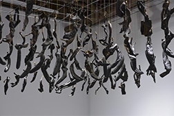 Specific Matter <br> Howard el-Yasin