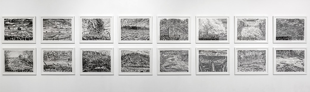A grid of sixteen framed ink drawings.