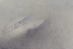 thick, hazy, cleer, blew<br>Shona Macdonald