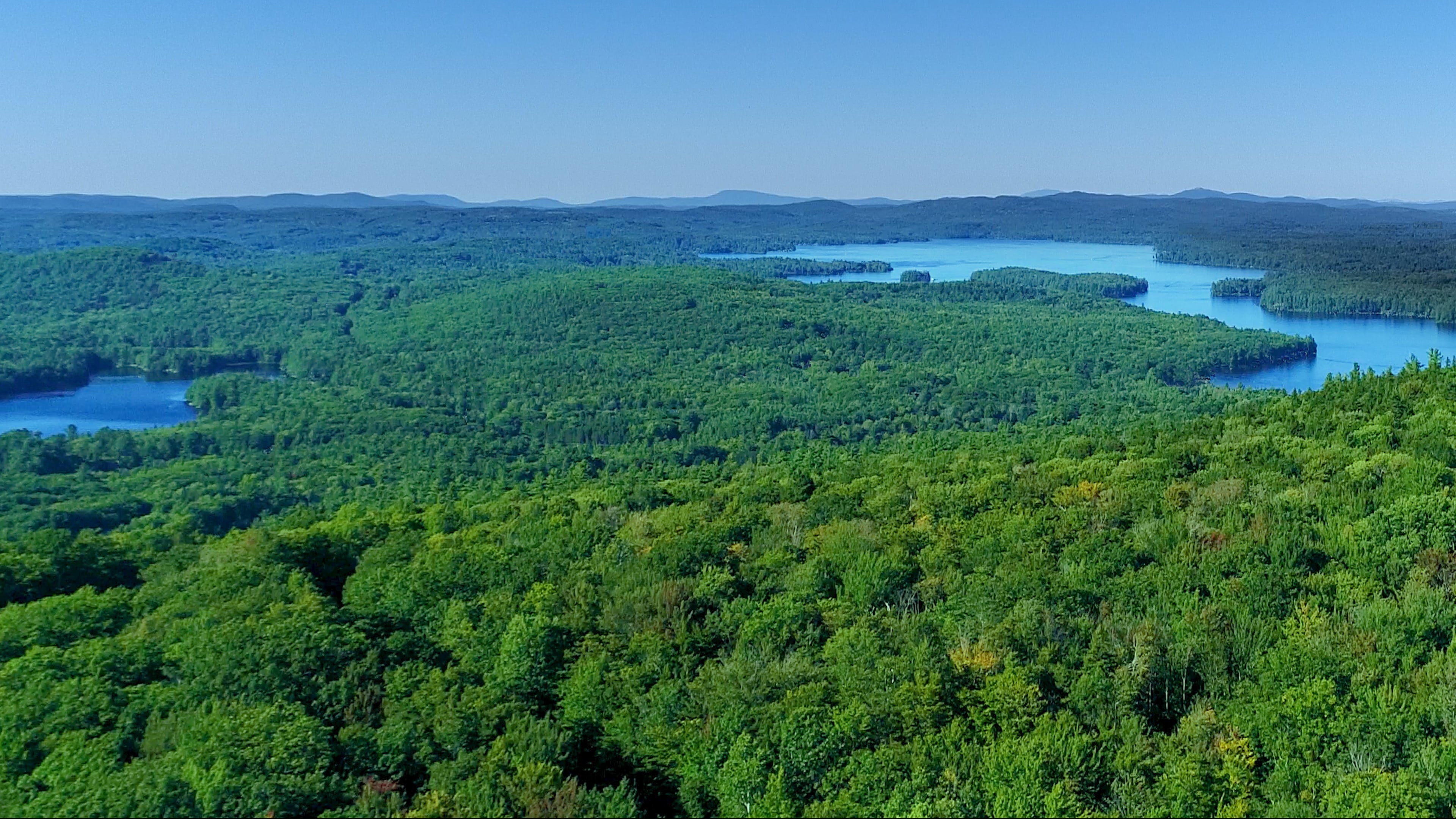Youtube video still for Old Growth Forest: Nature's Biotic Water Pump