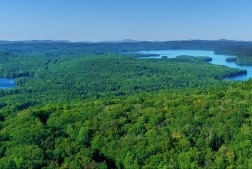 Old Growth Forest: Nature's Biotic Water Pump